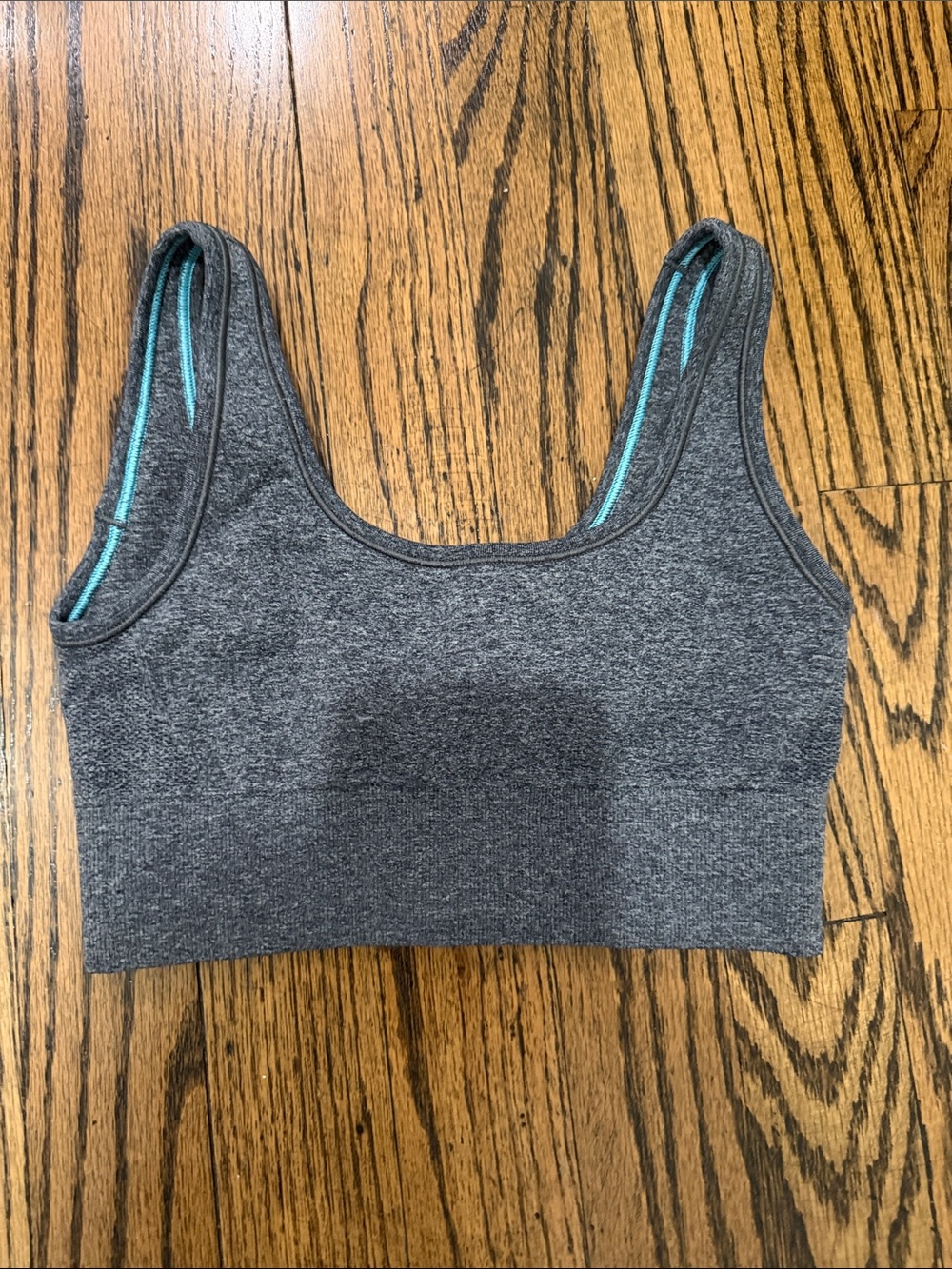 Aviva Padded Gray Sports Bra with Aqua Trim